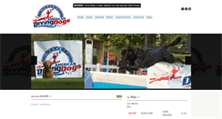 Desktop Screenshot of americandivingdogs.com